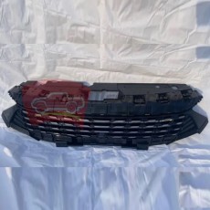 решетка радиатора  e5