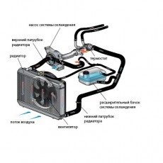 Вентилятор охлаждения радиатора CS35 (S1010300800)