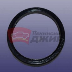 Сальник дифференциала Jetour Dashing