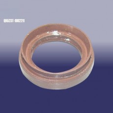 Сальник раздаточной коробки левый, QR523T1802211, Chery Tiggo (T11)