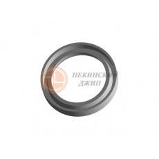 сальник привода AMULET