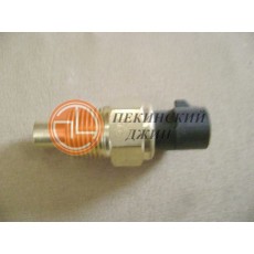 датчик температурный 2 контактный большая резьба  овальная  фишка
